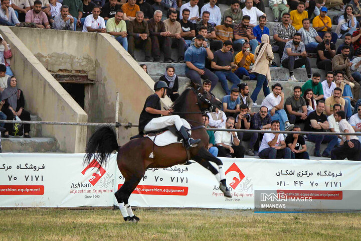 جشنواره اسب کُرد در سنندج