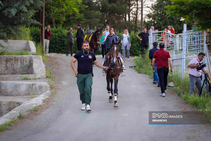 جشنواره اسب کُرد در سنندج