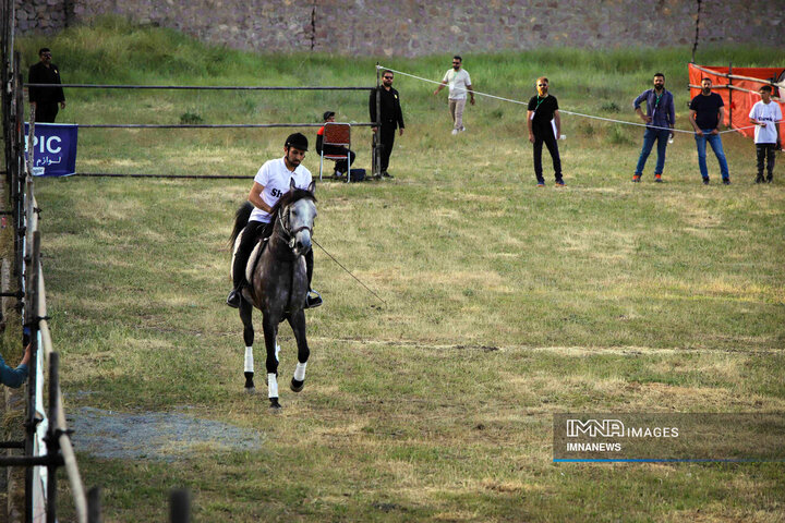جشنواره اسب کُرد در سنندج