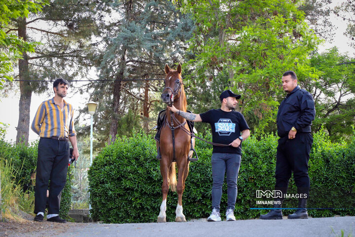 جشنواره اسب کُرد در سنندج