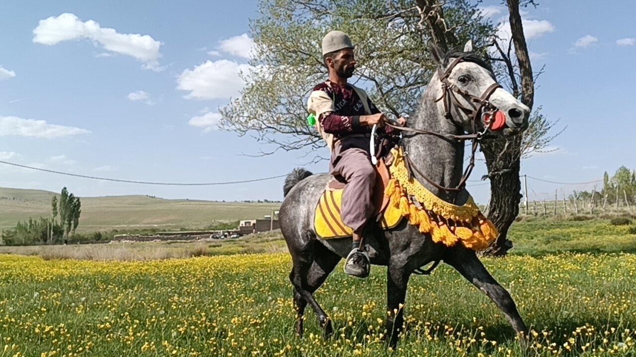 حافظه جمعی زاگرس در برابر روایتهای امروز پهلوی