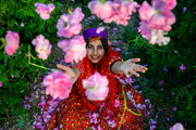 فصل گل و گلاب در میمند فارس