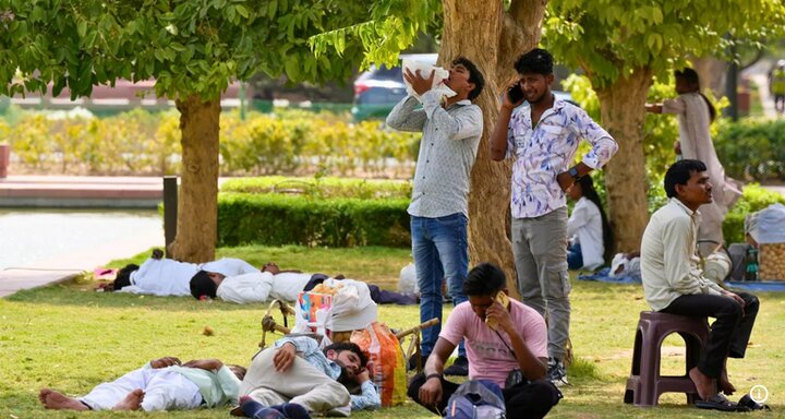 نجات میلیون‌ها نفر از مرگ‌های گرمایی با فضای سبز شهری