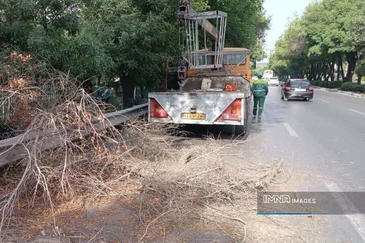 تحولی سبز در پرترددترین بزرگراه شهر اصفهان با همت منطقه ۷