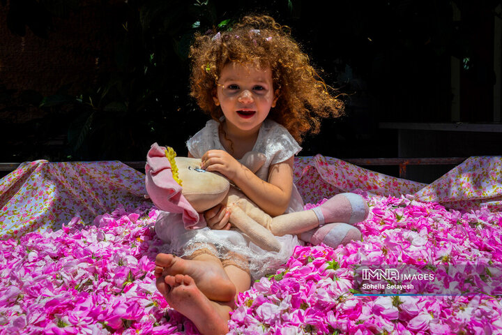 فصل گل و گلاب در میمند فارس