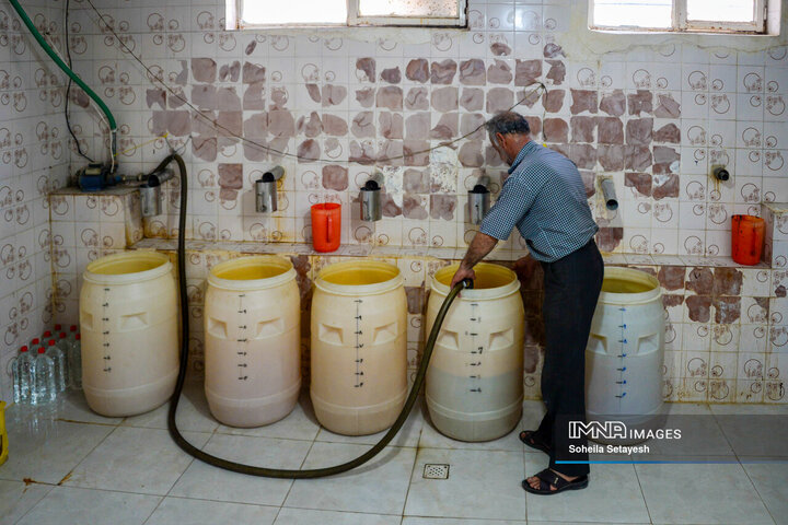 فصل گل و گلاب در میمند فارس