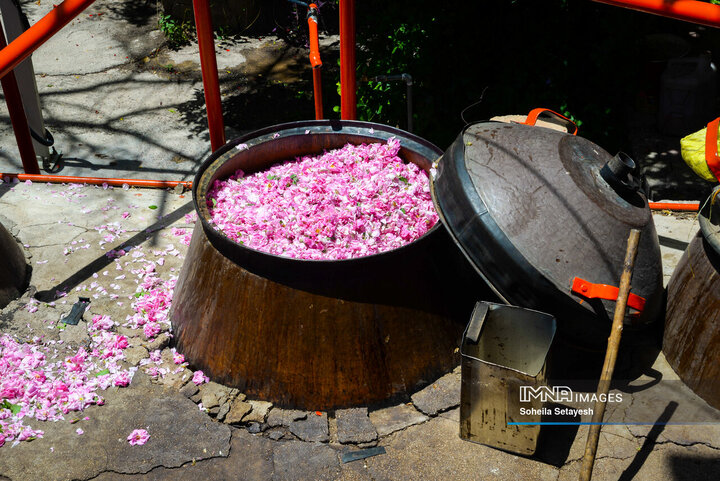 فصل گل و گلاب در میمند فارس
