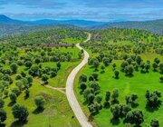 کدام گونه‌های جانوری کردستان در معرض انقراض قرار دارد؟