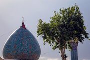 فیلم| طراوت باران در حرم شاهچراغ (ع)