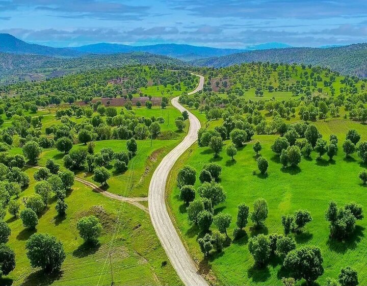 کدام گونه‌های جانوری کردستان در معرض انقراض قرار دارد؟