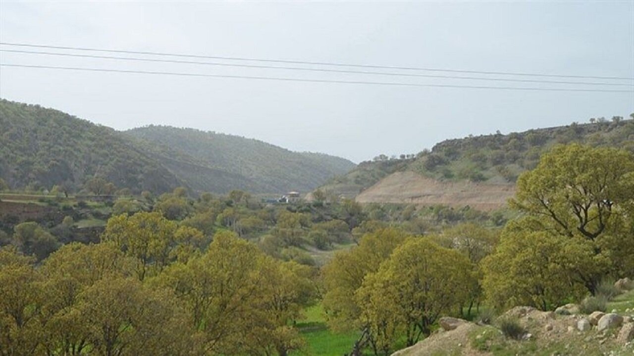 کدام گونههای جانوری کردستان در معرض انقراض قرار دارد؟