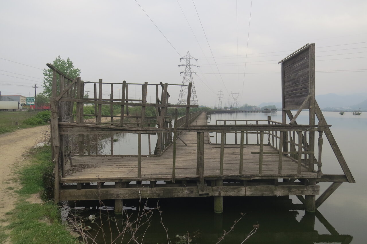 سایت پرنده‌نگری استیل، نعمتی که نقمت شد