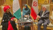تاکید وزیر میراث فرهنگی بر طراحی و اجرای نقشه راه دیپلماسی فرهنگی با نیجریه