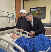 عیادت رئیس سازمان انرژی اتمی از آیت‌الله‌العظمی نوری همدانی