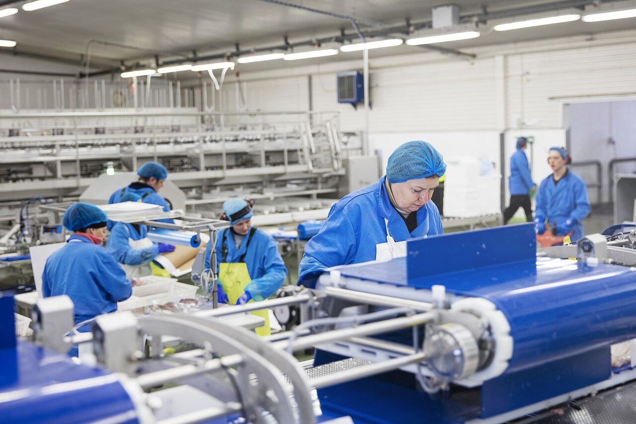 این کشورها بالاترین نرخ اشتغال را در سال ۲۰۲۵ دارند