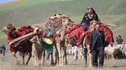 عشایر تأمین کننده امنیت ملی و غذایی کشور هستند