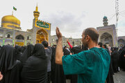 زیباترین کلیپ امام رضا برای استوری ولادت ثامن الحجج (ع)