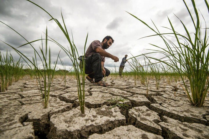 حل مشکل آب ابهر نیازمند تغییر الگوی کشت است