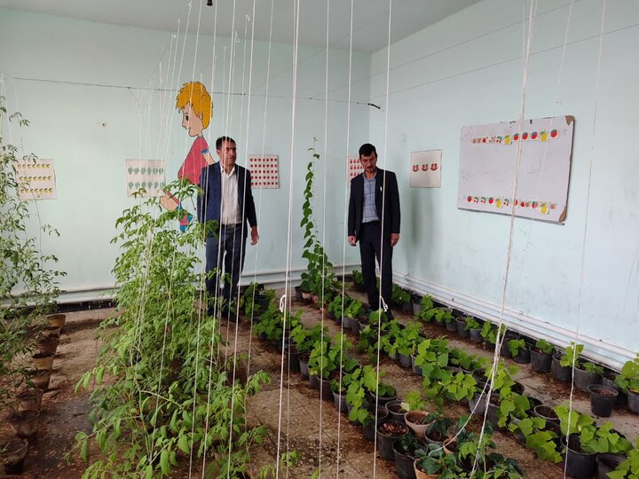 از دانش تا تجربه، مدرسه‌ای که رشد را معنا کرد