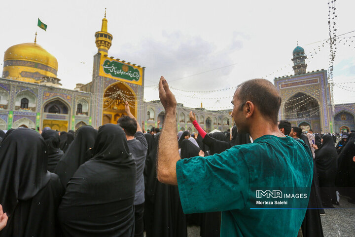 زیباترین کلیپ امام رضا برای استوری ولادت ثامن الحجج (ع)