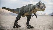 تکامل تی‌رِکس، مهاجری که در آمریکای شمالی متولد شد