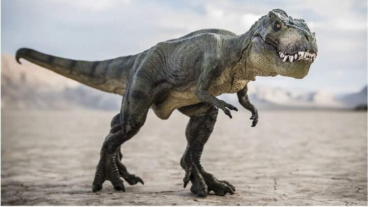 تکامل تی‌رِکس، مهاجری که در آمریکای شمالی متولد شد