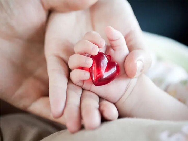 از نخستین ضربان تا تکامل قلب در جنین