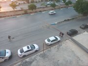 فوت و مصدوم شدن ۲ نفر در پی برخورد میلگرد با سیم برق