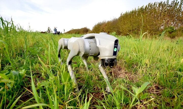 سگ روباتیک هوشمند، توانایی حرکت در زمین و آب را متحول کرد
