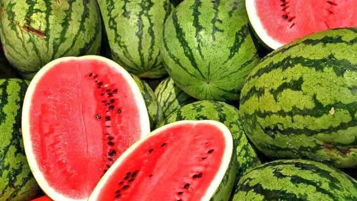 توازن نیتروژن، کلید تولید محصولات صادراتی