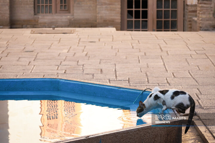 مجموعه گنجعلیخان کرمان