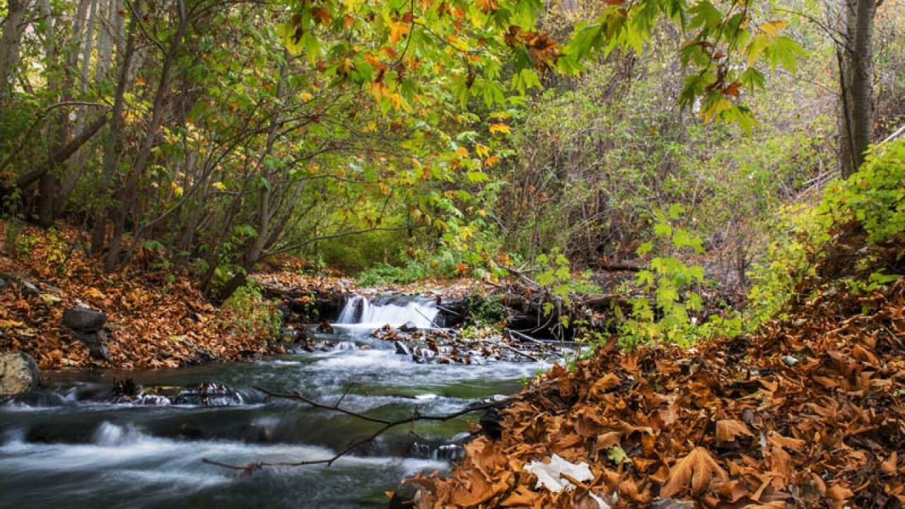 بهترین مکان‌های توریستی مشهد از دیدگاه کاربران