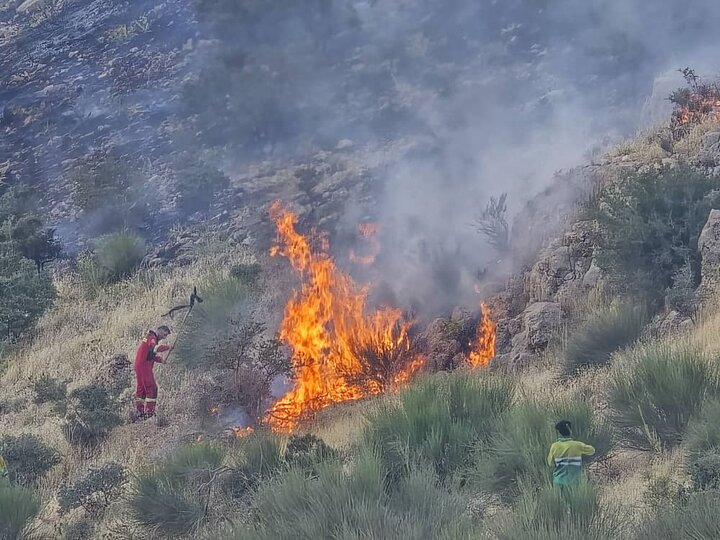 آتش‌سوزی در جنگل‌های لوداب ادامه دارد+ فیلم