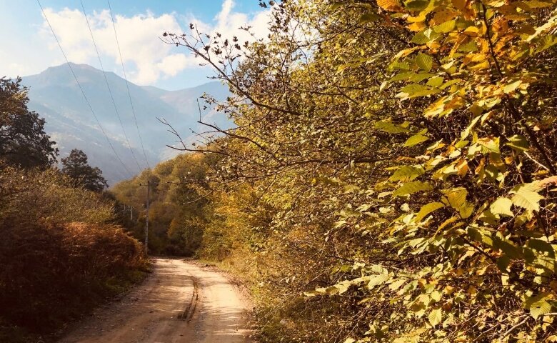 سایه تغییرات اقلیمی بر افق‌های روشن گردشگری