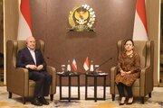 ایران و اندونزی نقش کلیدی در برقراری صلح و امنیت دارند