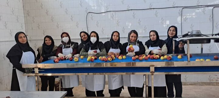 کارآفرین سمیرمی کارآفرین برتر کشور شد