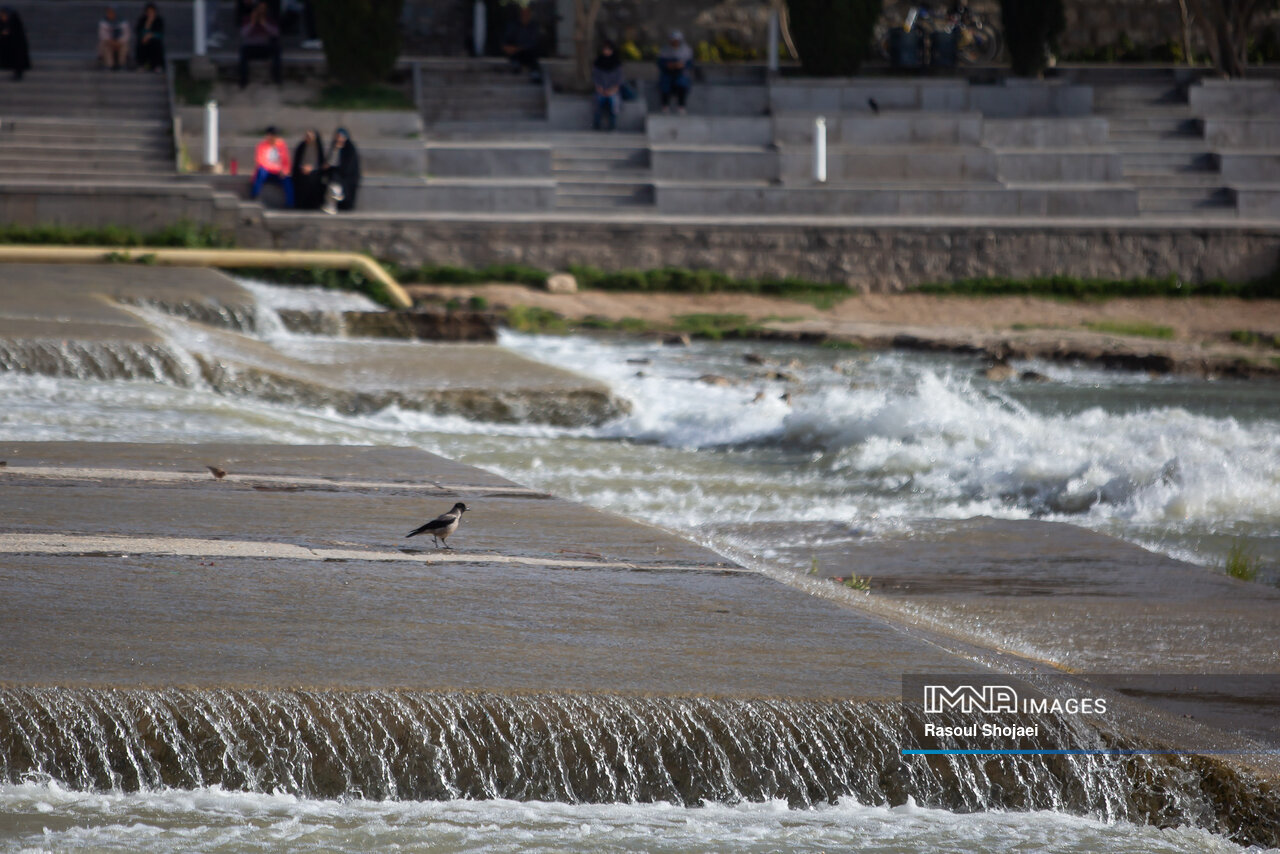 راهی علمی و مشارکتی برای احیای زایندهرود