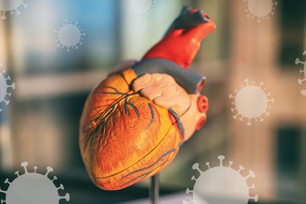 قلب فوتبالیست‌های حرفه‌ای معیار جدیدی برای سنجش سلامت ورزشکاران تعیین کرد