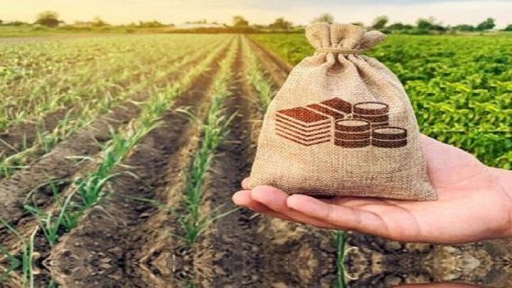 ۶ میلیارد دلار سرمایه‌گذاری خارجی در بخش کشاورزی کشور