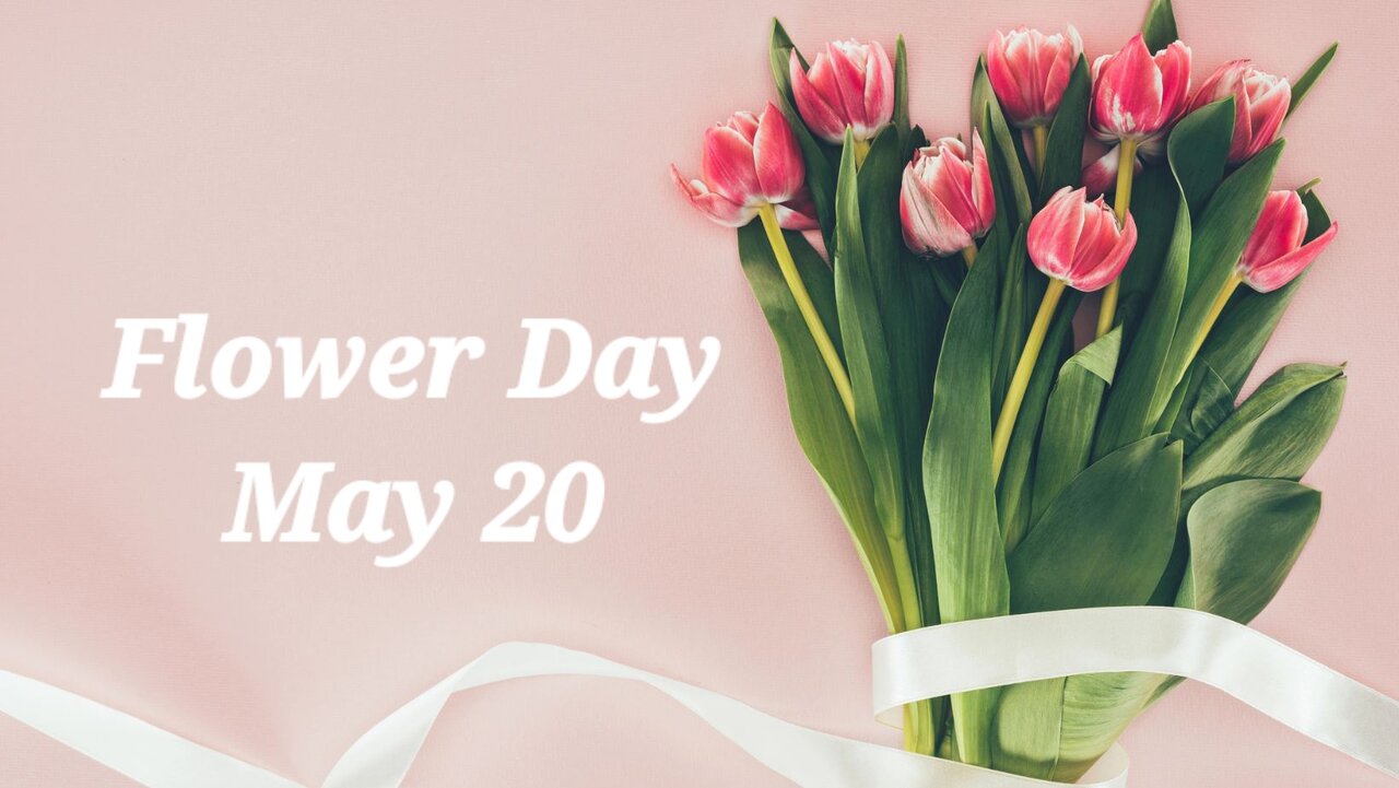 نماد گل هر کشور چیست؟