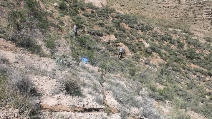 خلع ید متصرفان ۵۰ هکتار اراضی ملی در منطقه حفاظت شده چلچمه و سارال کردستان