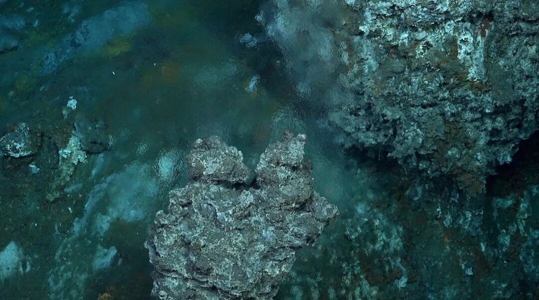 اکتشافات جدید در اعماق یخی اقیانوس منجمد جنوبی + تصاویر