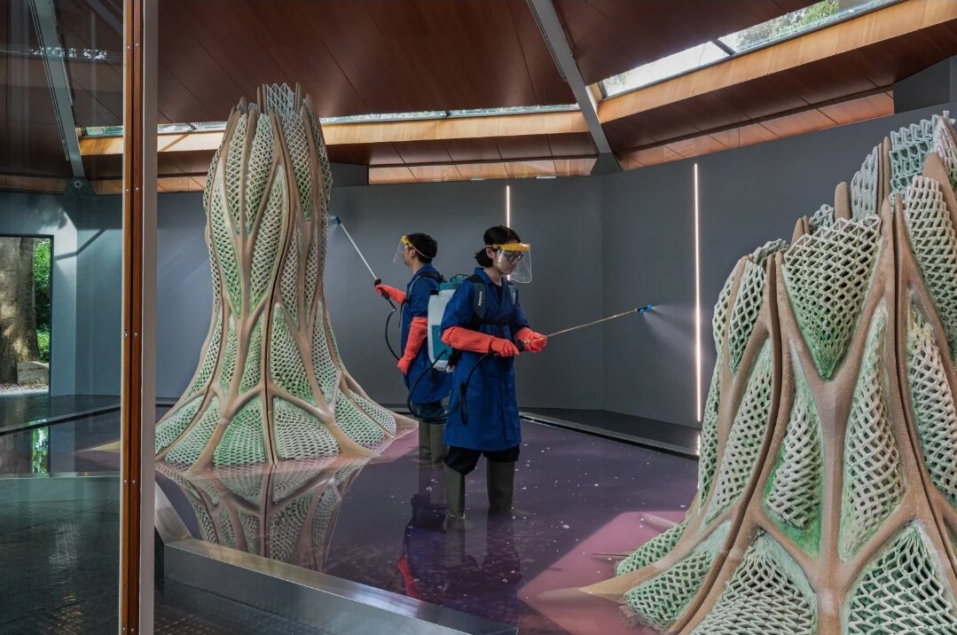 تبدیل معماری به ابزاری برای بهبود سیاره در دوسالانه ونیز