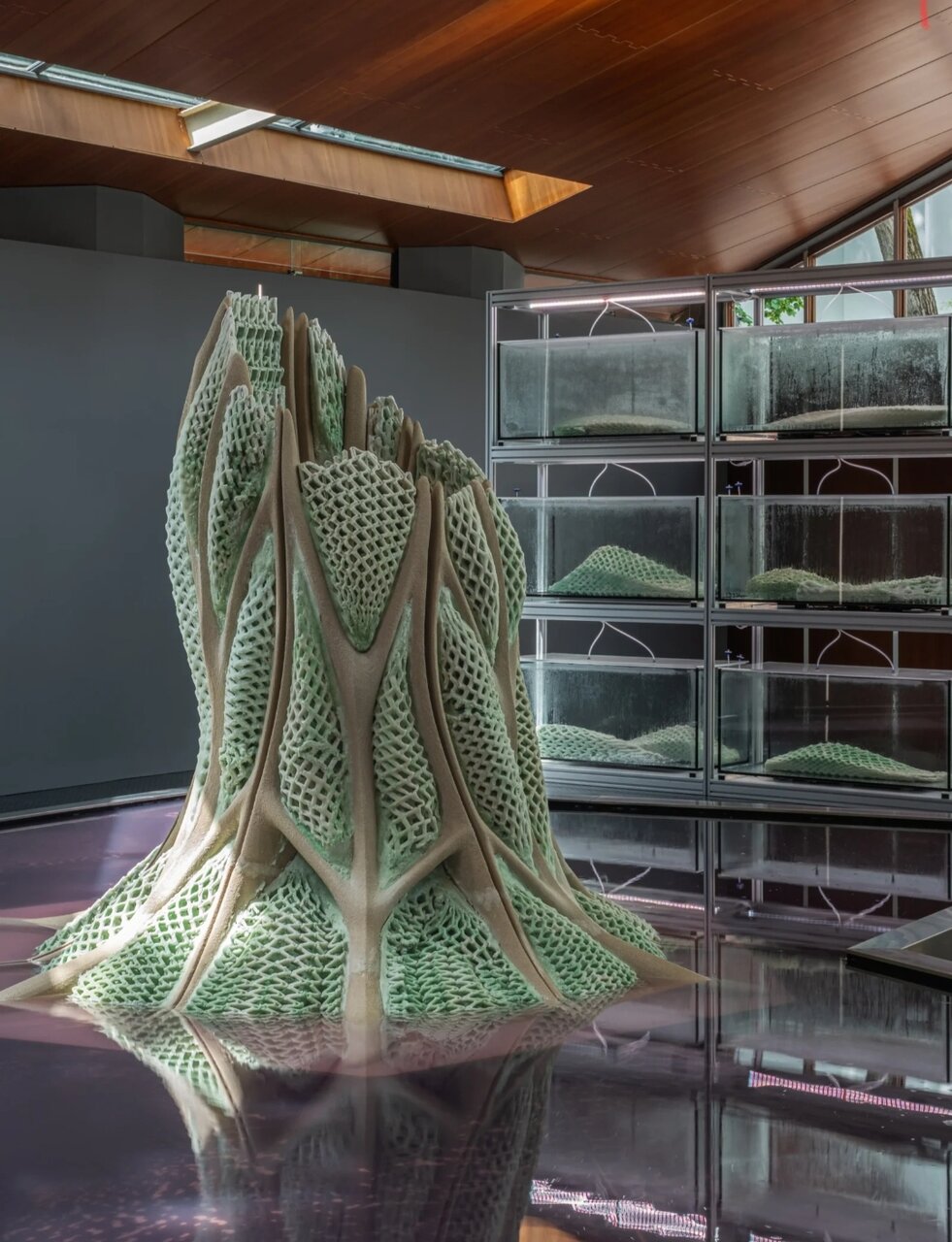 تبدیل معماری به ابزاری برای بهبود سیاره در دوسالانه ونیز