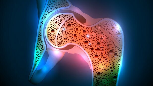 کارکرد حیاتی مغز استخوان تحت تاثیر عوامل مختلف