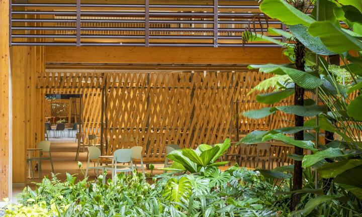 رونق ساختمانهای چوبی در عصر پایداری شهرها