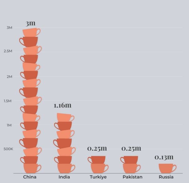 بزرگترین تولیدکننده و مصرف‌کننده چای در جهان کجاست؟