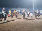 رقابت در لیگ ملی چوگان برای ماندن جام در خانه/ بسپار شیمی و نزاجا فینالیست شدند