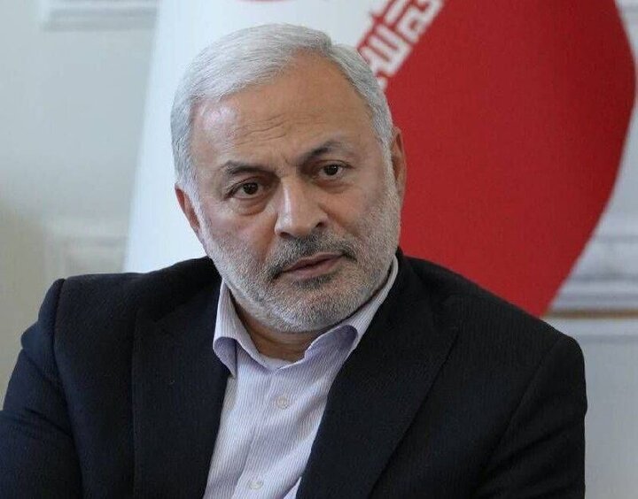 گزارش معاون وزیر خارجه از آخرین وضعیت لایحه حمایت از ایرانیان خارج از کشور