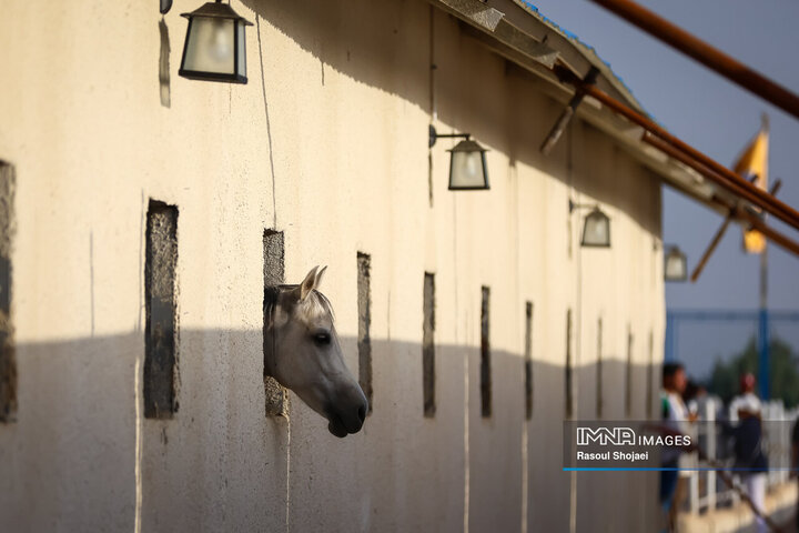 لیگ ملی چوگان جام زاینده